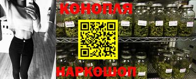сатива Нарткала