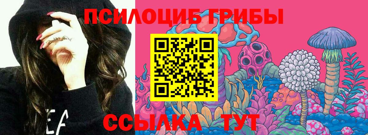 Солнечногорск  Псилоцибиновые грибы мицелий  Вход с VPN  Псилоцибиновые грибы ЛСД 